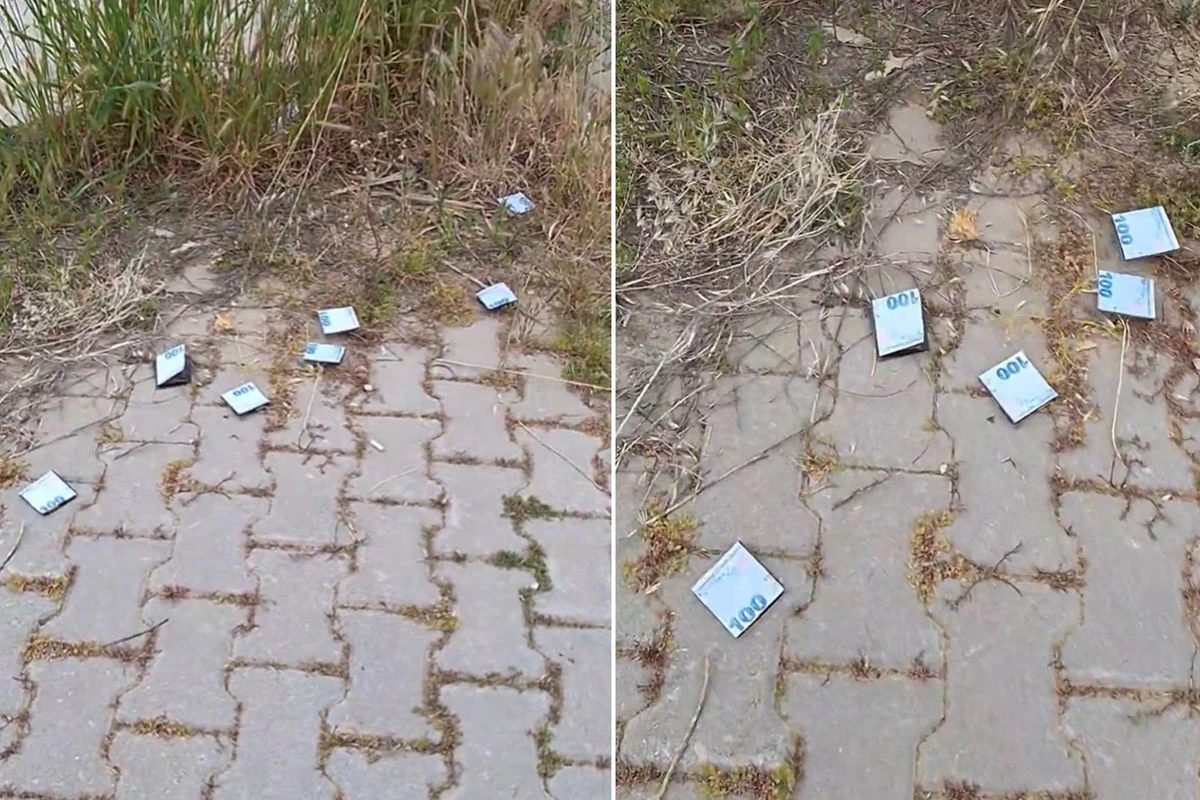 Parkta Gerçek Sanılan Paralar, Genç Kadını Şaşkına Çevirdi