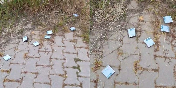 Parkta Gerçek Sanılan Paralar, Genç Kadını Şaşkına Çevirdi
