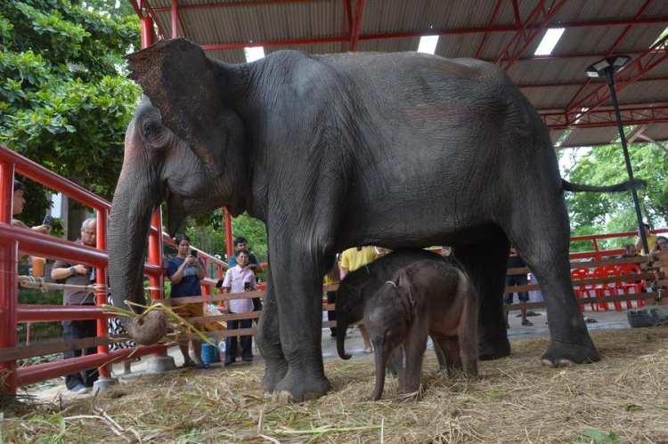 Tarım ve Orman Bakanlığı’ndan Gıda Denetimlerinde Şok Skandal: At ve Eşek Eti Tespit Edildi