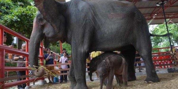 Tarım ve Orman Bakanlığı’ndan Gıda Denetimlerinde Şok Skandal: At ve Eşek Eti Tespit Edildi