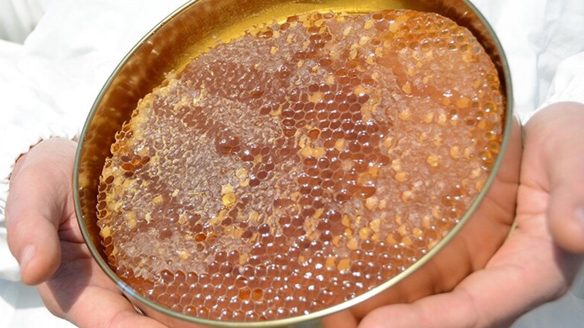 Bal Üretiminde Yeni Dönem: Temel Peteklere Standart Geliyor