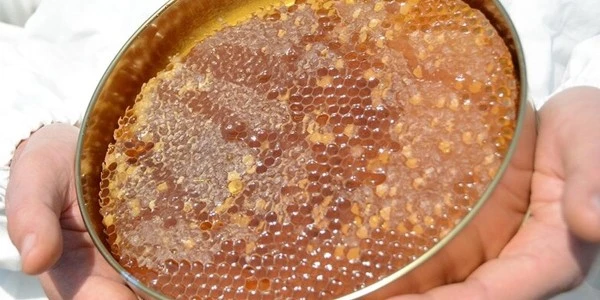 Bal Üretiminde Yeni Dönem: Temel Peteklere Standart Geliyor