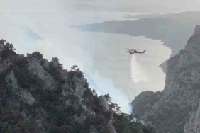 Şahinkaya Kanyonu'nda orman yangını - Son Dakika Türkiye Haberleri